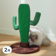 고양이 카펫 스탠드 선인장 캣닢 스크래쳐, 혼합색상, 2개