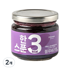 식스파머스 저칼로리 한 스푼 블루베리잼, 200g, 2개