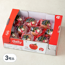 경북농협 문경 당도선별 바로먹는 세척사과, 2kg(7~9입), 3박스