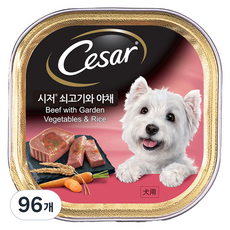 시저 1세 이상 강아지 주식캔, 100g, 96개