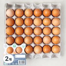 동물복지 인증 자연방사 유정란 사육환경번호 1번란, 30구, 2개