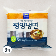 면사랑 냉장 평양냉면 사리 5입, 1kg, 3개
