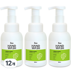 제타 포밍 핸드워시 용기 청포도, 300ml, 12개