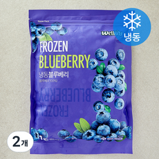 웰루츠 블루베리 (냉동), 2개, 1kg