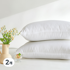 아르페지오베이직 모닝 베개솜, 화이트, 2개