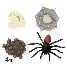 캐스비 네이처 성장과정피규어 거미, 4개
