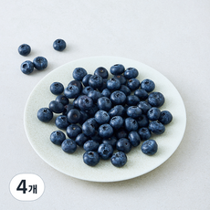 만나다 미국산 블루베리, 4개, 510g