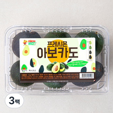 프레시몬 아보카도, 1kg, 3팩