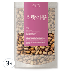 한방선생 매화강낭콩 호랑이콩 특품, 600g, 3개