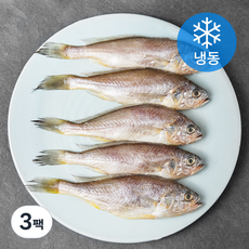 아라장 반건조 참조기 (냉동), 3팩, 420g(5마리)