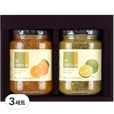 올가홀푸드 제주 액상차 선물 세트, 한라봉차 550g + 청귤차 550g, 3세트