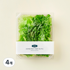 프리미엄 와일드 루꼴라 가든 믹스, 100g, 1개입, 4개