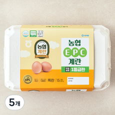 농협 EPC 무항생제 인증 1등급 특란 900g, 15구, 5개