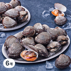 산지직송 부산 13번 중매인 피꼬막 (냉장), 1.5kg, 6개