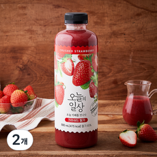 오늘의일상 크러쉬드 딸기, 880ml, 2개