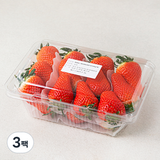 국내산 한반도 비타베리 딸기, 750g, 3팩