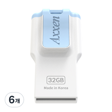 액센 i Passion USB 2.0 메모리 블루 Axxen H43 QUAD, 32GB, 6개