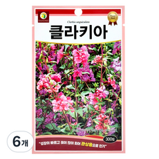 다농 클라키아 씨앗 300p, 6개