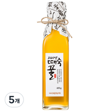지리산한봉영농조합 국내산 때죽꿀, 5개, 400g