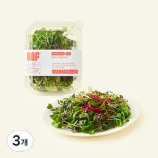 원에이커팜 무농약 인증 베이비 채소 믹스, 50g, 3개, 1개입