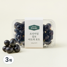 프리미엄 점보 아도라 포도, 500g, 3개