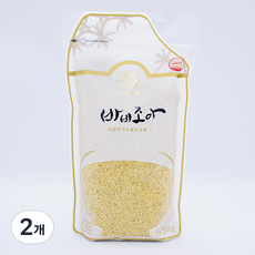 바비조아 기장강황칼슘, 500g, 2개