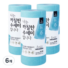 홈트너 나는 까칠한 수세미 입니다, 민트, 6개