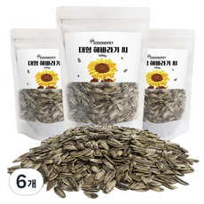 소동펫 대형 해바라기 씨 사료, 500g, 6개