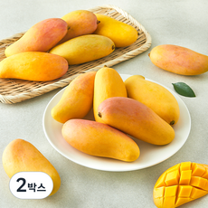 수플린 태국산 마하차녹 망고 14~16과, 2박스, 3.8kg