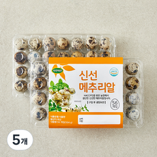 자연애찬 신선 메추리알 56구, 504g, 5개