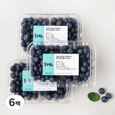 좋은하루 생생 블루베리, 200g, 6팩