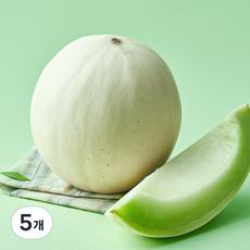 startree 미국산 허니듀 메론, 1.6kg 이상, 5개