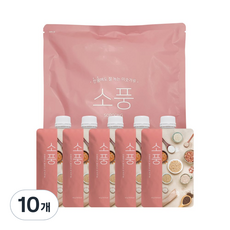 소풍 미숫가루, 10개, 40g