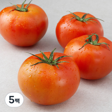 느영나영 무농약 인증 완숙 토마토, 900g, 5팩