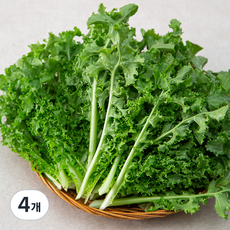 치커리 국내산, 1kg, 4개
