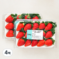 좋은하루 산지직송 담양 죽향 딸기, 350g, 4팩