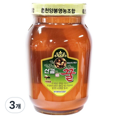 동광한방몰 더 진한 홍천 사양벌꿀, 3개, 2.4kg