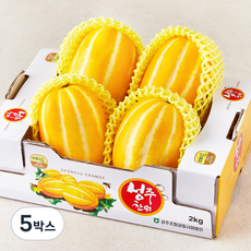 성주 당도선별 참외, 5박스, 2kg(4~5입)