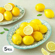 더네이처 레몬, 5박스, 2kg