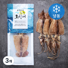 오바다 부드러운 건오징어 (냉동), 150g(3미), 3개