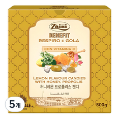 자이니 허니레몬 프로폴리스 캔디, 500g, 5개