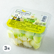 프레쉬팜 달콤 허니듀메론, 3개, 500g