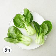 유기농 인증 청경채, 5개, 200g