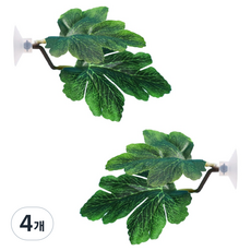 Lemong Creep 樹葉鬥魚床, 4個