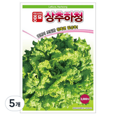 아시아종묘 상추하청 씨앗 3000p, 5개