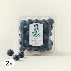 문선진 농부의 무농약 신칠라 블루베리, 100g, 2개