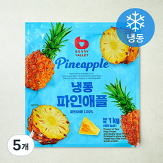 베리밸리 파인애플 (냉동), 5개, 1kg