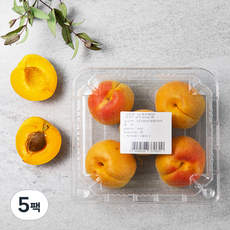 하코트 살구, 400g, 5팩