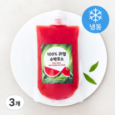 100% 리얼 수박주스 (냉동), 3개, 500ml