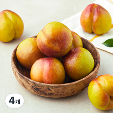 프레시픽 추희자두 특대, 4개, 1kg